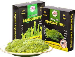 Rong Nho Và Công Dụng Của Rong Nho-Grape Seaweed Rong nho trường thọ 2