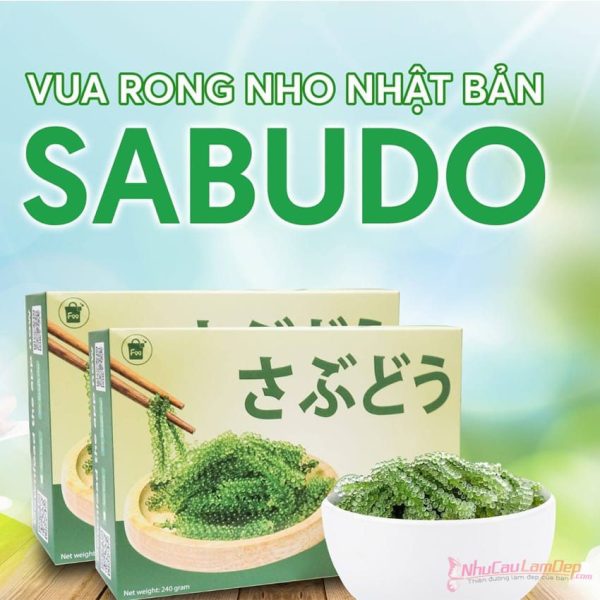 Rong Nho Và Công Dụng Của Rong Nho-Grape Seaweed Rong Nho Và Công Dụng Của Rong Nho-Grape Seaweed