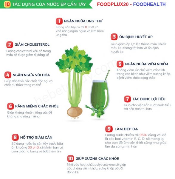 Tác Dụng Của Cần Tây (Celery) Đối Với Sức Khỏe 10 Tác dụng tuyệt vời của cần tây
