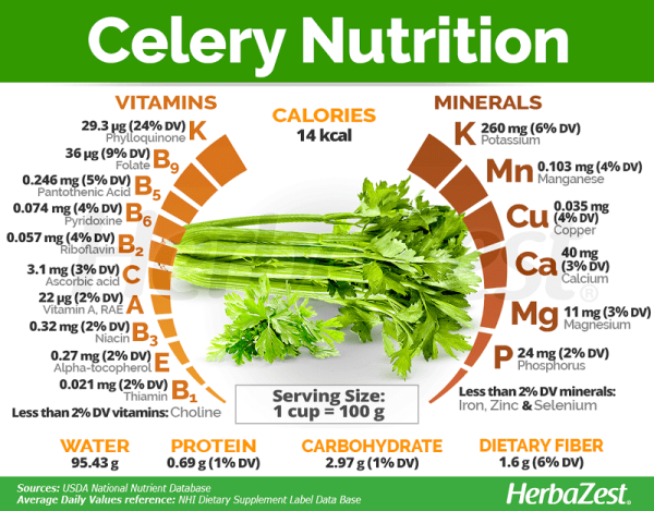 Tác Dụng Của Cần Tây (Celery) Đối Với Sức Khỏe Gía trị dinh dưỡng của cần tây Celery