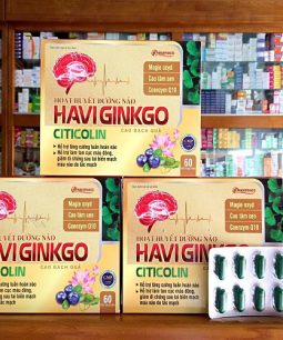 Haviginkgo Citicolin - Hoạt huyết dưỡng não, hỗ trợ làm tan cục máu đông, tăng cường tuần hoàn não