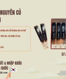 Hồng Sâm Nguyên Củ Tẩm Mật Ong 300g - Red Ginseng Honeyed Whole Roots Sobaek Hồng Sâm Nguyên Củ Tẩm Mật Ong 300g - Red Ginseng Honeyed Whole Roots Sobaek - 2