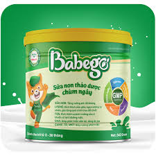 Cây Chùm Ngây Là Gì? Khám Phá 5 Công Dụng Của Chùm Ngây sữa non thảo dược chùm ngây Babego